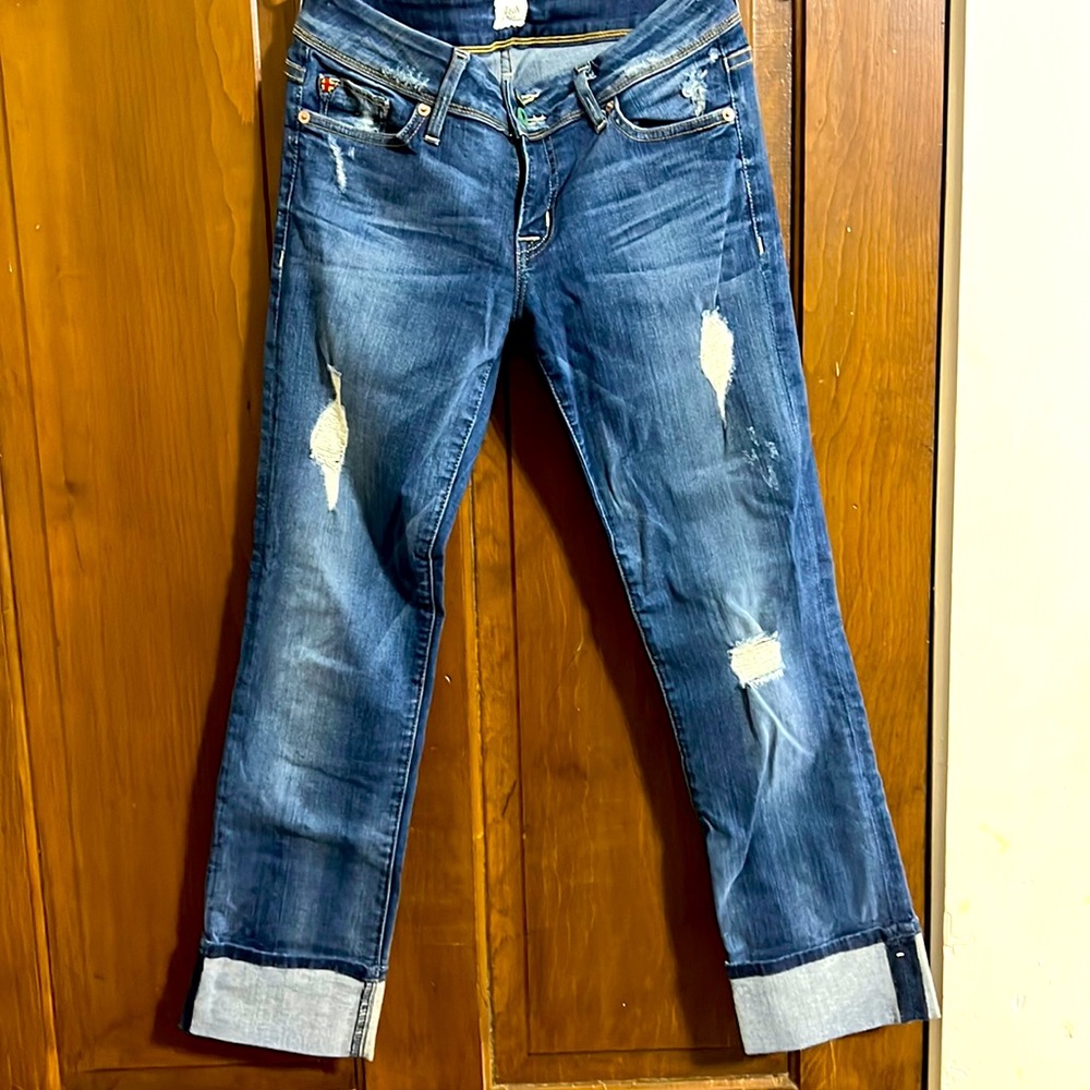 Womens Hudson cropped distressed jean size 28